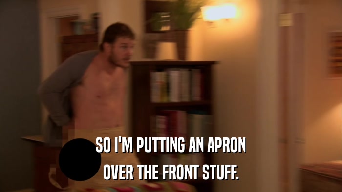 SO I'M PUTTING AN APRON OVER THE FRONT STUFF. 