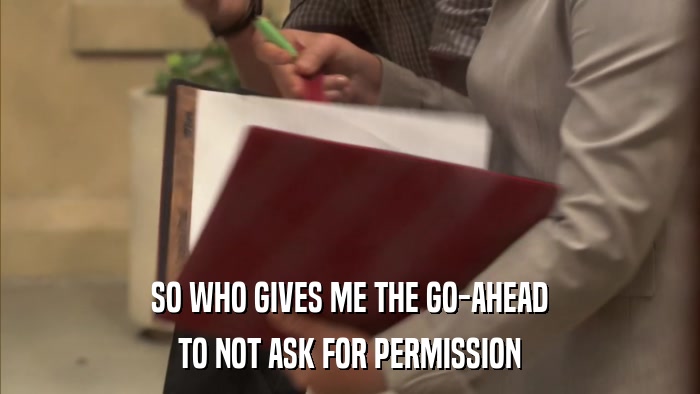 SO WHO GIVES ME THE GO-AHEAD TO NOT ASK FOR PERMISSION 