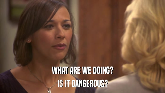 WHAT ARE WE DOING? IS IT DANGEROUS? 