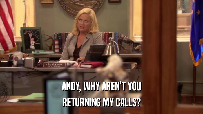 ANDY, WHY AREN'T YOU RETURNING MY CALLS? 