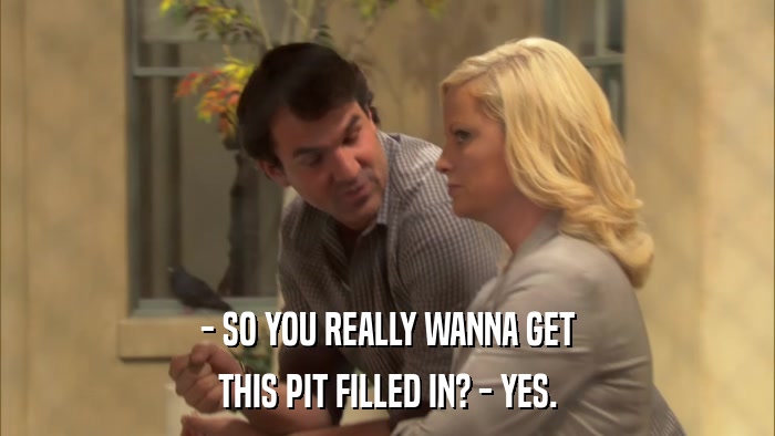 - SO YOU REALLY WANNA GET THIS PIT FILLED IN? - YES. 
