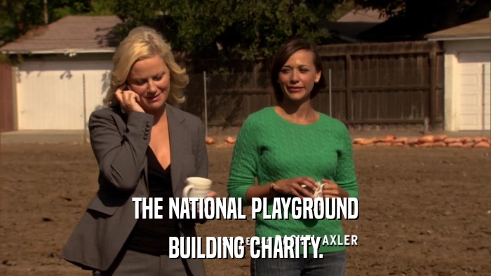 THE NATIONAL PLAYGROUND BUILDING CHARITY. 