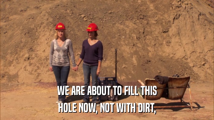 WE ARE ABOUT TO FILL THIS HOLE NOW, NOT WITH DIRT, 