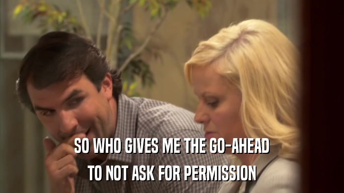 SO WHO GIVES ME THE GO-AHEAD TO NOT ASK FOR PERMISSION 