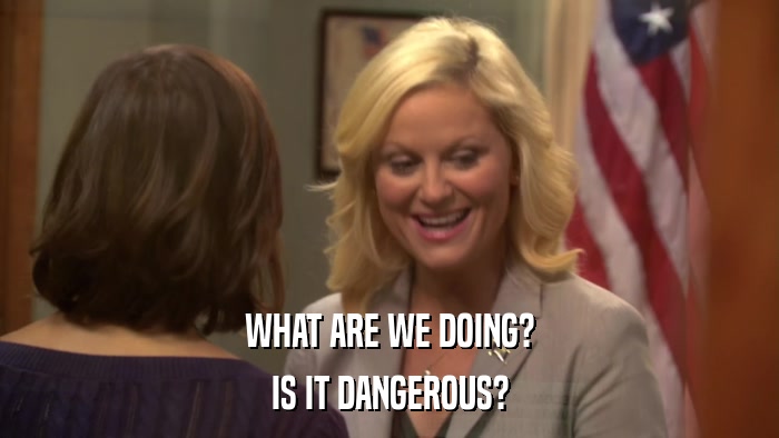 WHAT ARE WE DOING? IS IT DANGEROUS? 