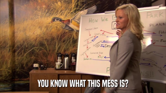 YOU KNOW WHAT THIS MESS IS?  