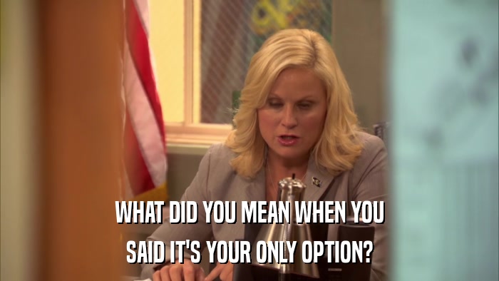 WHAT DID YOU MEAN WHEN YOU SAID IT'S YOUR ONLY OPTION? 