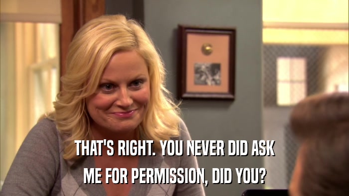 THAT'S RIGHT. YOU NEVER DID ASK ME FOR PERMISSION, DID YOU? 