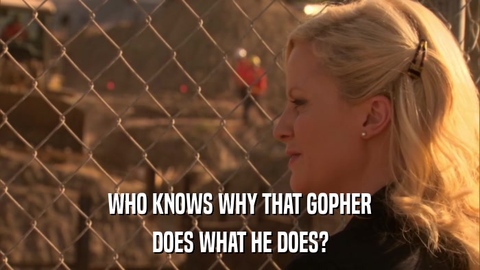 WHO KNOWS WHY THAT GOPHER DOES WHAT HE DOES? 