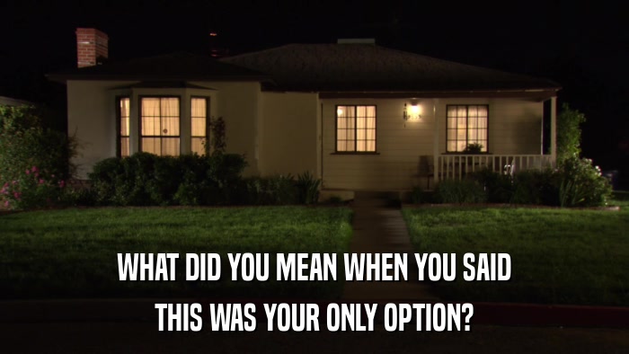 WHAT DID YOU MEAN WHEN YOU SAID THIS WAS YOUR ONLY OPTION? 