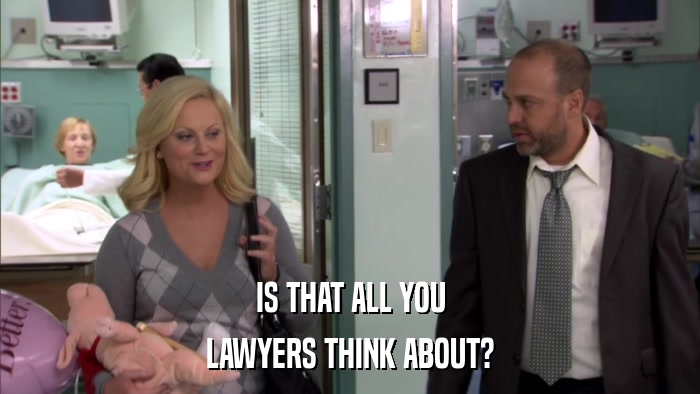 IS THAT ALL YOU LAWYERS THINK ABOUT? 