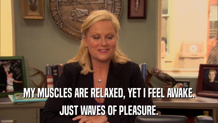 MY MUSCLES ARE RELAXED, YET I FEEL AWAKE. JUST WAVES OF PLEASURE. 