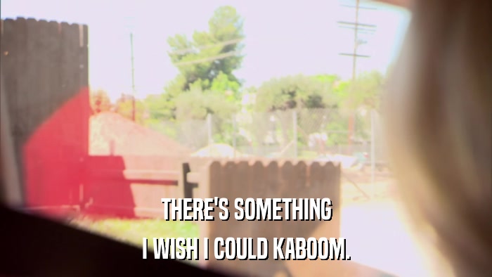 THERE'S SOMETHING I WISH I COULD KABOOM. 