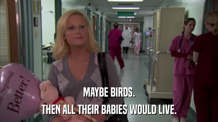 MAYBE BIRDS. THEN ALL THEIR BABIES WOULD LIVE. 