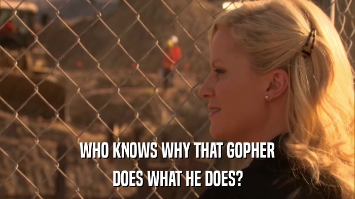 WHO KNOWS WHY THAT GOPHER DOES WHAT HE DOES? 