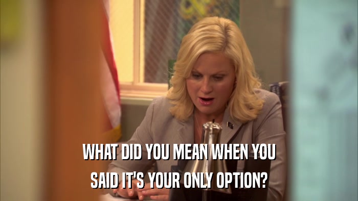WHAT DID YOU MEAN WHEN YOU SAID IT'S YOUR ONLY OPTION? 