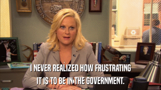 I NEVER REALIZED HOW FRUSTRATING IT IS TO BE IN THE GOVERNMENT. 