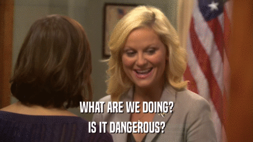 WHAT ARE WE DOING? IS IT DANGEROUS? 