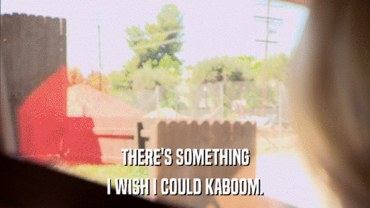 THERE'S SOMETHING I WISH I COULD KABOOM. 