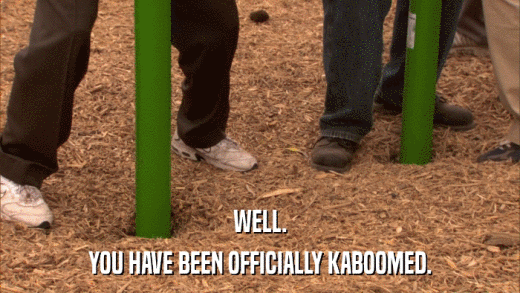 WELL. YOU HAVE BEEN OFFICIALLY KABOOMED. 