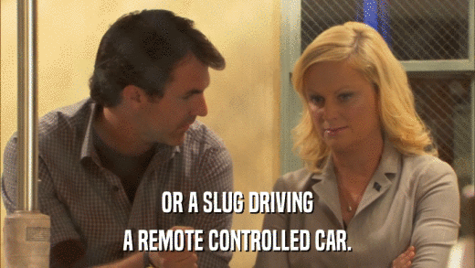 OR A SLUG DRIVING A REMOTE CONTROLLED CAR. 