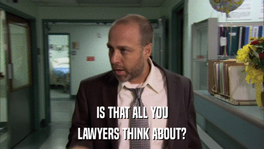 IS THAT ALL YOU LAWYERS THINK ABOUT? 