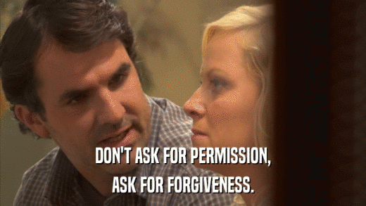 DON'T ASK FOR PERMISSION, ASK FOR FORGIVENESS. 