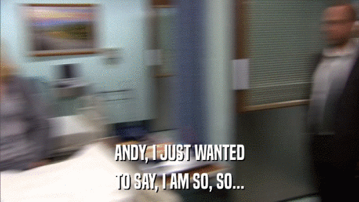 ANDY, I JUST WANTED TO SAY, I AM SO, SO... 
