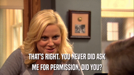 THAT'S RIGHT. YOU NEVER DID ASK ME FOR PERMISSION, DID YOU? 