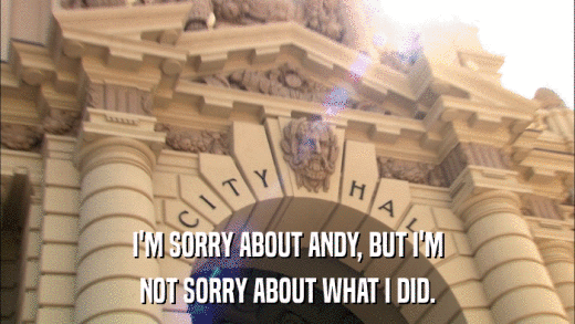 I'M SORRY ABOUT ANDY, BUT I'M NOT SORRY ABOUT WHAT I DID. 