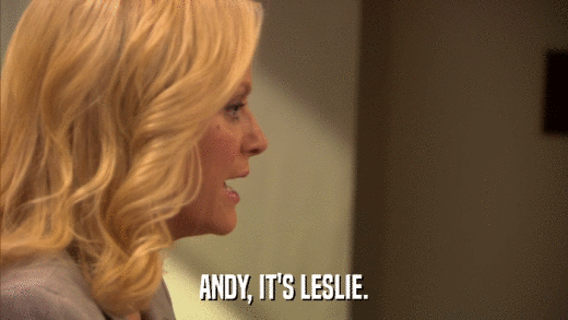 ANDY, IT'S LESLIE.  