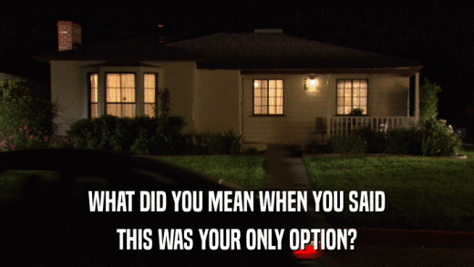 WHAT DID YOU MEAN WHEN YOU SAID THIS WAS YOUR ONLY OPTION? 