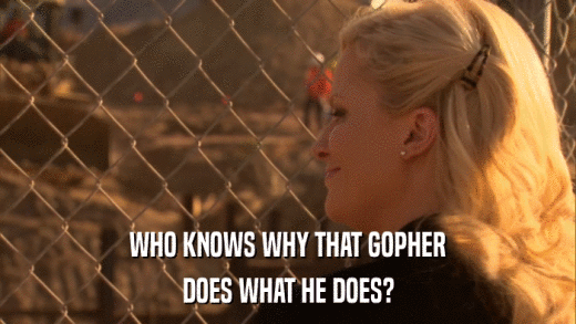 WHO KNOWS WHY THAT GOPHER DOES WHAT HE DOES? 