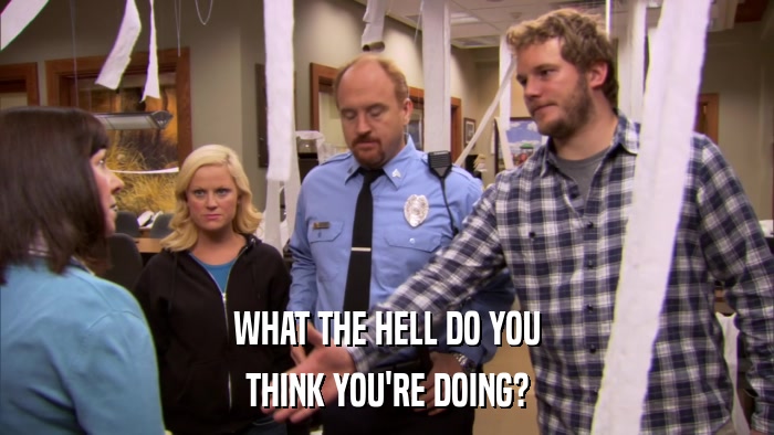 WHAT THE HELL DO YOU THINK YOU'RE DOING? 