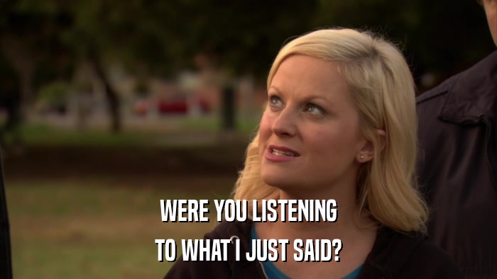 WERE YOU LISTENING TO WHAT I JUST SAID? 