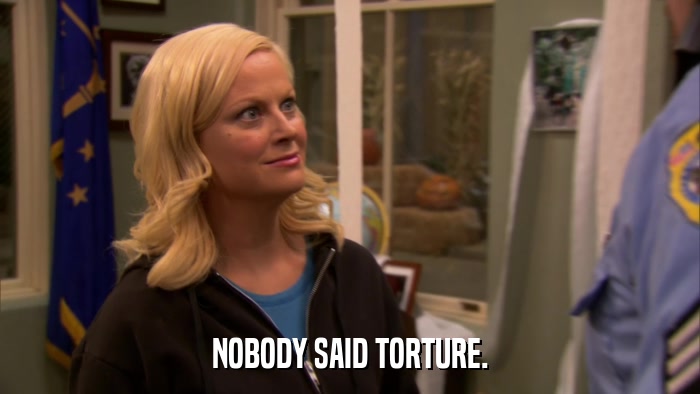 NOBODY SAID TORTURE.  