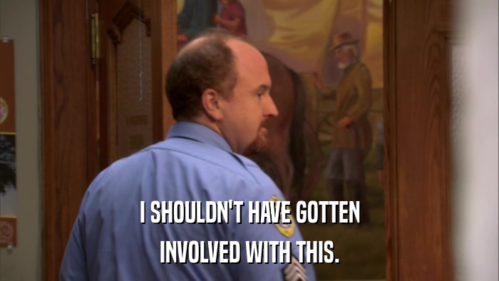 I SHOULDN'T HAVE GOTTEN INVOLVED WITH THIS. 