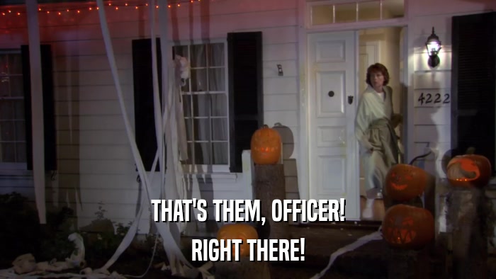 THAT'S THEM, OFFICER! RIGHT THERE! 
