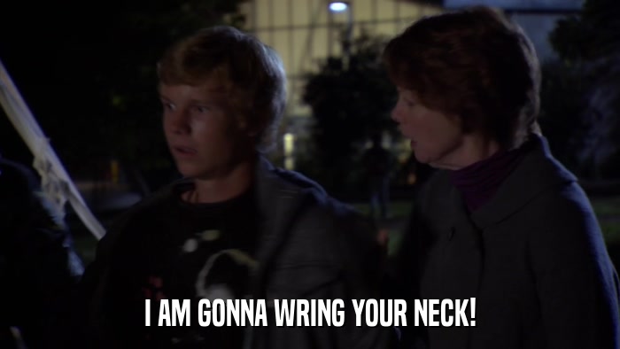 I AM GONNA WRING YOUR NECK!  