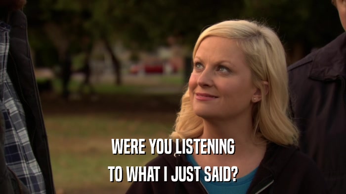 WERE YOU LISTENING TO WHAT I JUST SAID? 