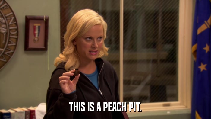 THIS IS A PEACH PIT.  