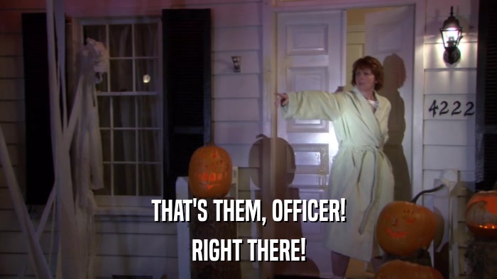 THAT'S THEM, OFFICER! RIGHT THERE! 