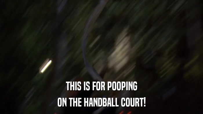 THIS IS FOR POOPING ON THE HANDBALL COURT! 