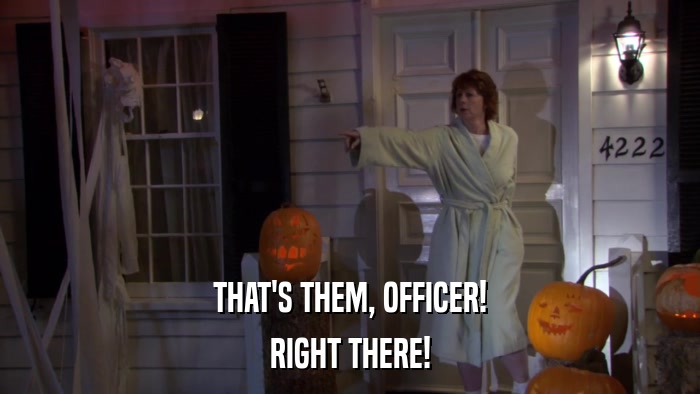 THAT'S THEM, OFFICER! RIGHT THERE! 