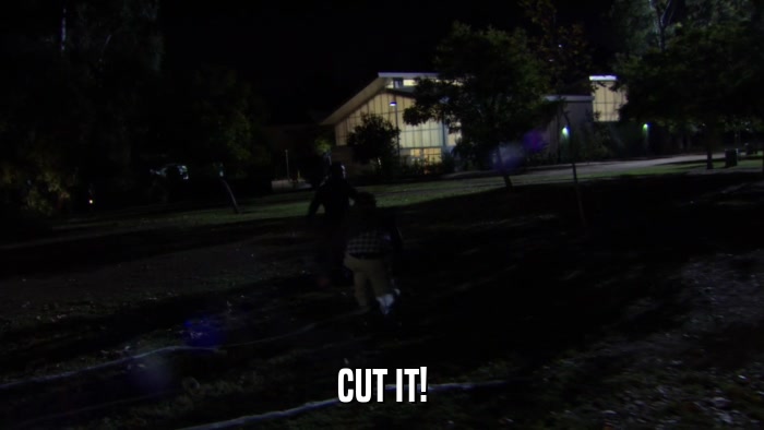 CUT IT!  
