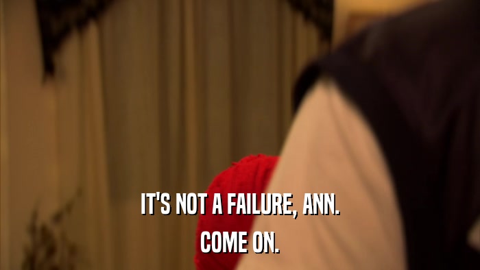 IT'S NOT A FAILURE, ANN. COME ON. 