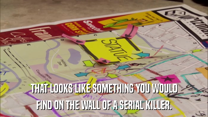 THAT LOOKS LIKE SOMETHING YOU WOULD FIND ON THE WALL OF A SERIAL KILLER. 