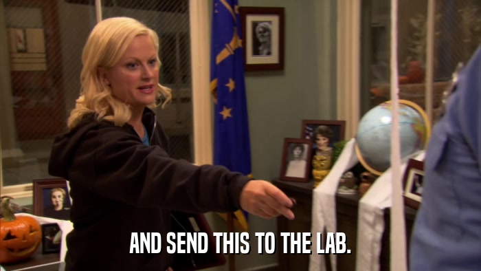 AND SEND THIS TO THE LAB.  