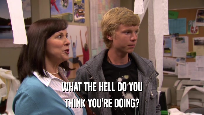 WHAT THE HELL DO YOU THINK YOU'RE DOING? 