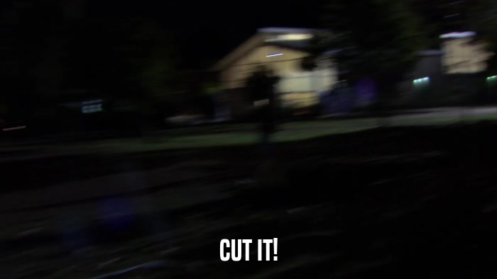 CUT IT!  